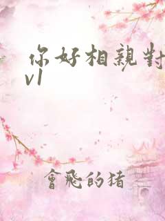 你好相亲对象1v1