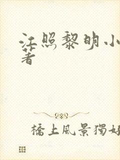 江照黎明小说原著