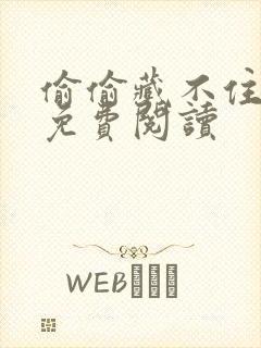 偷偷藏不住小说免费阅读