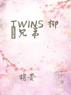 TWINS 柳澤兄弟