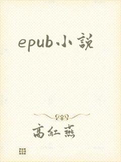 epub小说