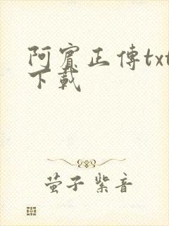 阿宾正传txt下载