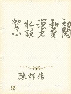 贺北溟和初夏的小说免费阅读无弹窗