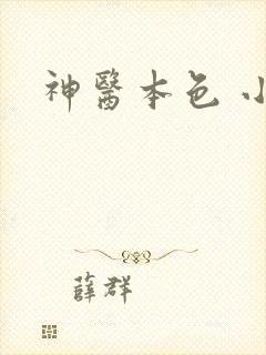 神医本色 小说