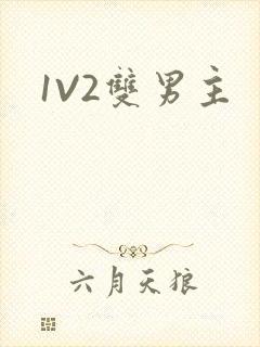 1V2双男主