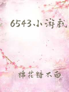 6543小游戏