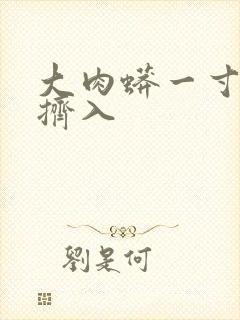 大肉蟒一寸一寸挤入