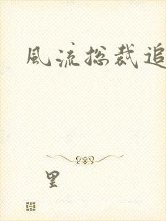 风流总裁追妻记