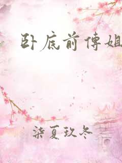 卧底前传姐妹篇