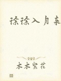 徐徐入月来