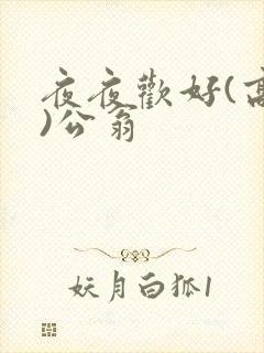 夜夜欢好(高h)公翁