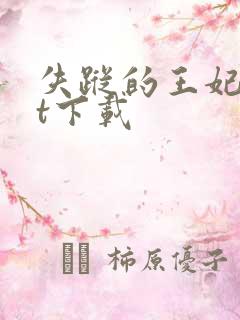 失踪的王妃txt下载