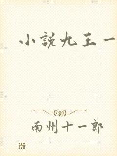 小说九王一后