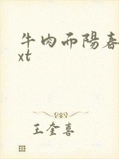 牛肉面阳春面txt