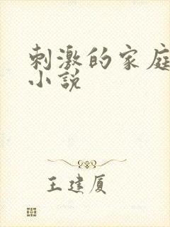 刺激的家庭乱仑小说