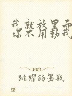 我就放里面不动你不用动我动