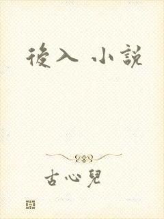 后入 小说