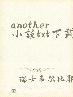 another小说txt下载