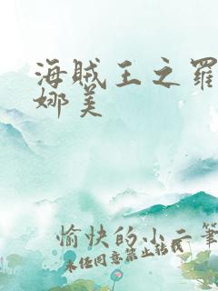 海贼王之罗宾h娜美