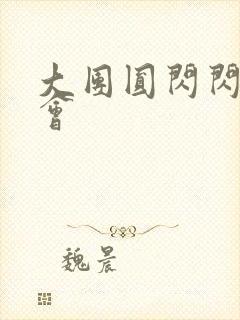 大团圆闪闪相亲会