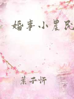 婚事小农民