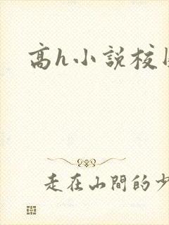 高h小说校园