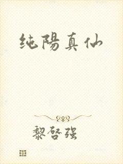 纯阳真仙