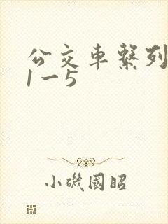 公交车系列合集1一5