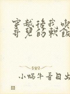 穿越后我吃到了哥儿的软饭炉山灰