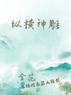纵横神雕