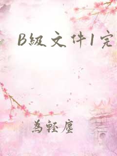 B级文件1完整