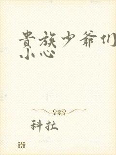 贵族少爷们 请小心