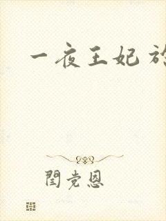 一夜王妃 于墨
