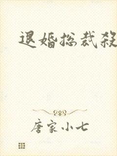 退婚总裁杀手妻