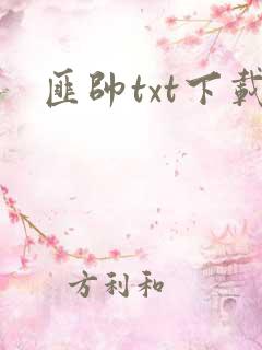 匪帅txt下载