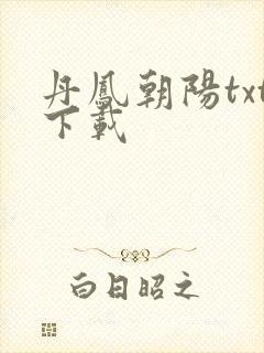 丹凤朝阳txt下载