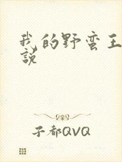 我的野蛮王妃小说