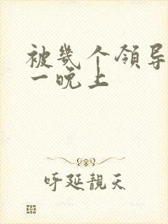 被几个领导玩弄一晚上