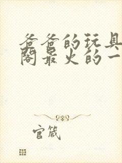 爸爸的玩具笔趣阁最火的一句