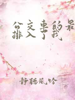 公交车的最后一排入了我