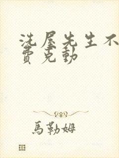 洗屋先生不打马费克动