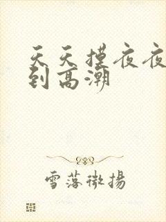 天天摸夜夜摸摸到高潮