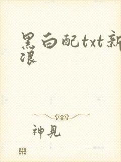 黑白配txt新浪