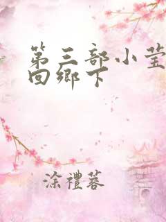 第三部小莹乱翁回乡下