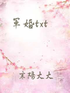 军婚txt