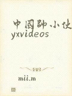中国帅小伙gayxvideos