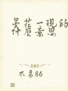 昙花一现的现是什么意思