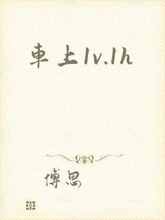 车上1v.1h