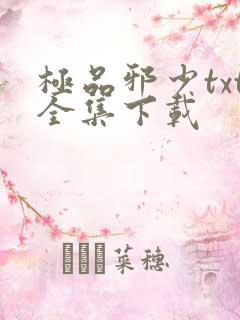 极品邪少txt全集下载