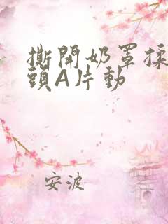 撕开奶罩揉吮奶头A片动